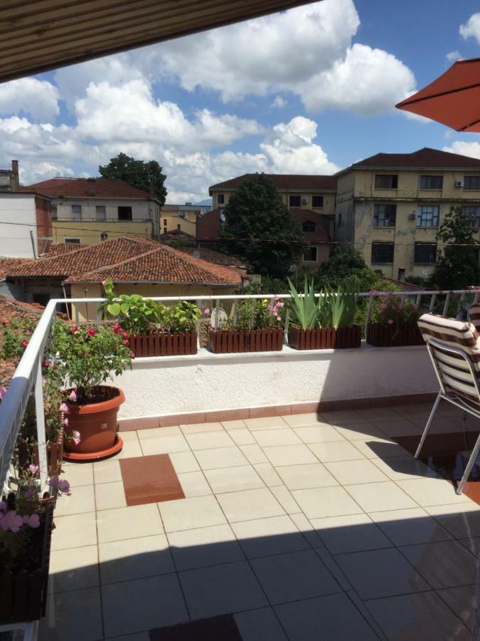 Lille France Shkoder